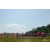 Raid Amazones Sri Lanka 2019 - J1 Trail