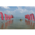 Team 107 / Raid Amazones Sri Lanka 2019 - J2 Canoe