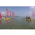 Team 19 / Raid Amazones Sri Lanka 2019 - J2 Canoe