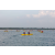 Team 05 / Raid Amazones Sri Lanka 2019 - J2 Canoe