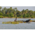 Raid Amazones Sri Lanka 2019 - J2 Canoe