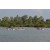 Raid Amazones Sri Lanka 2019 - J2 Canoe