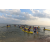 Raid Amazones Sri Lanka 2019 - J2 Canoe