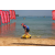 Team 38 / Raid Amazones Sri Lanka 2019 - J2 Canoe