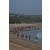 Raid Amazones Sri Lanka 2019 - J2 Canoe