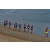 Raid Amazones Sri Lanka 2019 - J2 Canoe