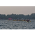 Raid Amazones Sri Lanka 2019 - J2 Canoe
