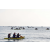 Team 114 / Raid Amazones Sri Lanka 2019 - J2 Canoe