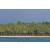Raid Amazones Sri Lanka 2019 - J2 Canoe