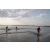 Team 107 / Raid Amazones Sri Lanka 2019 - J2 Canoe