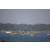 Raid Amazones Sri Lanka 2019 - J2 Canoe