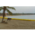 Raid Amazones Sri Lanka 2019 - J2 Canoe