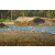 Raid Amazones Sri Lanka 2019 - J2 Canoe