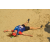 Team 36 / Raid Amazones Sri Lanka 2019 - J2 Canoe