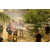 Team 123 / Raid Amazones Sri Lanka 2019 - J2 Canoe