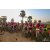 Raid Amazones Sri Lanka 2019 - J3 VTT