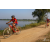 Team 102 / Raid Amazones Sri Lanka 2019 - J3 VTT