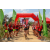 Raid Amazones Sri Lanka 2019 - J3 VTT