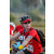 Team 103 / Raid Amazones Sri Lanka 2019 - J3 VTT