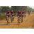 Team 36 / Raid Amazones Sri Lanka 2019 - J3 VTT