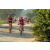 Team 15 / Raid Amazones Sri Lanka 2019 - J3 VTT