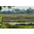 Raid Amazones Sri Lanka 2019 - J3 VTT