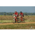 Team 25 / Raid Amazones Sri Lanka 2019 - J3 VTT