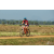 Team 08 / Raid Amazones Sri Lanka 2019 - J3 VTT