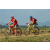 Team 120 / Raid Amazones Sri Lanka 2019 - J3 VTT