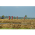 Team 15 / Raid Amazones Sri Lanka 2019 - J3 VTT