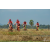 Team 07 / Raid Amazones Sri Lanka 2019 - J3 VTT