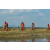 Team 15 / Raid Amazones Sri Lanka 2019 - J3 VTT