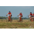 Team 09 / Raid Amazones Sri Lanka 2019 - J3 VTT