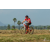Team 123 / Raid Amazones Sri Lanka 2019 - J3 VTT