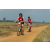 Team 50 / Raid Amazones Sri Lanka 2019 - J3 VTT