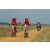 Team 26 / Raid Amazones Sri Lanka 2019 - J3 VTT