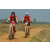 Team 34 / Raid Amazones Sri Lanka 2019 - J3 VTT
