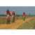 Team 135 / Raid Amazones Sri Lanka 2019 - J3 VTT