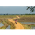 Raid Amazones Sri Lanka 2019 - J3 VTT