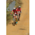 Team 03 / Raid Amazones Sri Lanka 2019 - J3 VTT