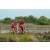 Team 19 / Raid Amazones Sri Lanka 2019 - J3 VTT