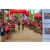 Team 05 / Raid Amazones Sri Lanka 2019 - J3 VTT