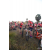 Team 26 / Raid Amazones Sri Lanka 2019 - J3 VTT