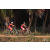 Team 04 / Raid Amazones Sri Lanka 2019 - J3 VTT