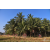 Team 143 / Raid Amazones Sri Lanka 2019 - J3 VTT