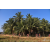 Team 15 / Raid Amazones Sri Lanka 2019 - J3 VTT