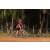 Team 17 / Raid Amazones Sri Lanka 2019 - J3 VTT