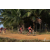 Team 44 / Raid Amazones Sri Lanka 2019 - J3 VTT