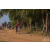 Team 05 / Raid Amazones Sri Lanka 2019 - J3 VTT
