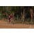 Team 05 / Raid Amazones Sri Lanka 2019 - J3 VTT